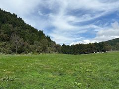 -武陵山森林公园