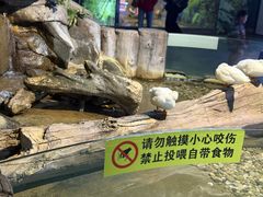 -苏州海洋馆