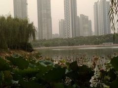 景点-后襄河公园