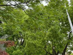 -徐记私厨(半淞园路店)