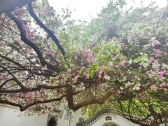 -深圳国际园林花卉博览园