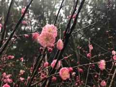 -灵栖洞天
