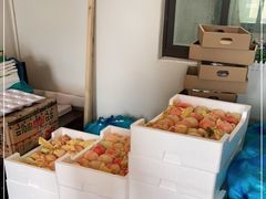 -南汇新场正宗水蜜桃采摘