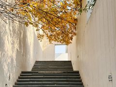 -石家庄市植物园