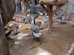-长鹿旅游休博园