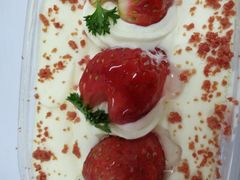 红梅点雪-津乐园(王顶堤店)