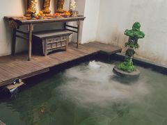 -觀芷隐轩