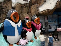 -海合安成都极地海洋公园