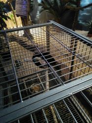 -酷嗒动物文化乐园(cutezoo西溪乐天城店)