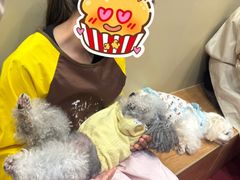 -和它·交个朋友·狗咖猫咖(爱琴海店)