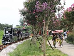 -武汉紫薇都市田园