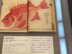 -东京国立博物馆