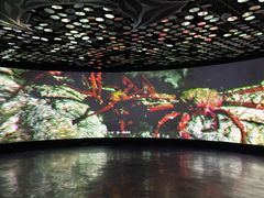 -同济大学四平路校区深海探索馆