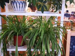 -猫的天空之城概念书店(印象城购物中心店)