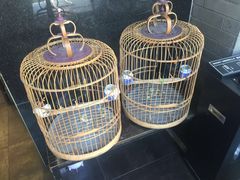 -到家尝北京菜(西坝河店)