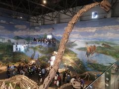 -自贡恐龙博物馆