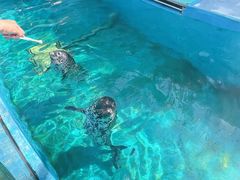 -横店影视城梦幻谷园区