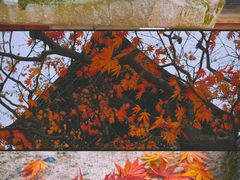 -医王山·飞騨国分寺