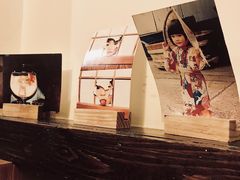 -金龙咖喱