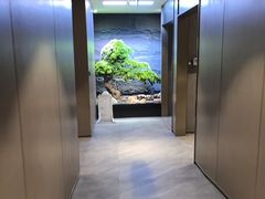 -凯鸽酒楼(操场城店)