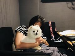 -百好乐宠物友好餐厅(朝外大街店)