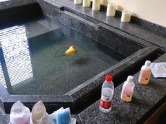 -春晖园度假酒店温泉