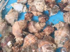 -大东海海鲜酒楼(渔人码头总店)