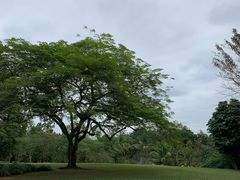 -中国科学院西双版纳热带植物园