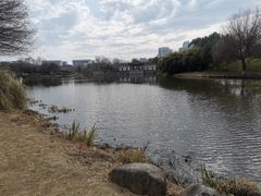 -绍兴镜湖国家城市湿地公园