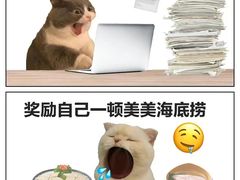-海底捞火锅(华南摩尔店)