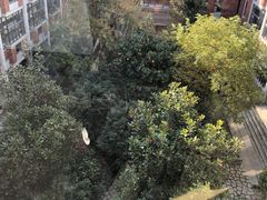 -华东政法大学(松江校区)