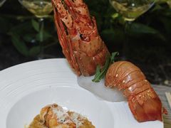 -前海华侨城JW万豪酒店·都会尚膳自助餐厅·熟成牛排海鲜酒水畅飨
