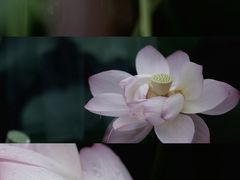 -莫催咖啡