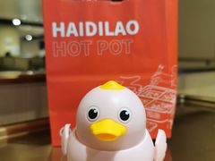 -海底捞火锅(旭辉MALL店)