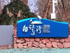 -白鹭湾湿地公园
