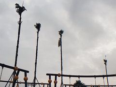 -枫香湖儿童公园