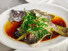 -众味海鲜大排档·活海鲜·潮汕味(南澳店)