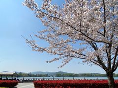 -石湖景区