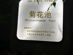 -达蓬山温泉