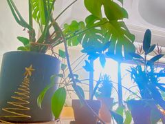 -fishtank鱼缸咖啡(三山街店)