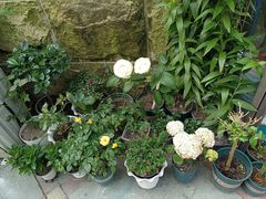 -白塘生态植物园