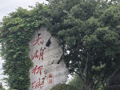 -贡湖湾湿地公园