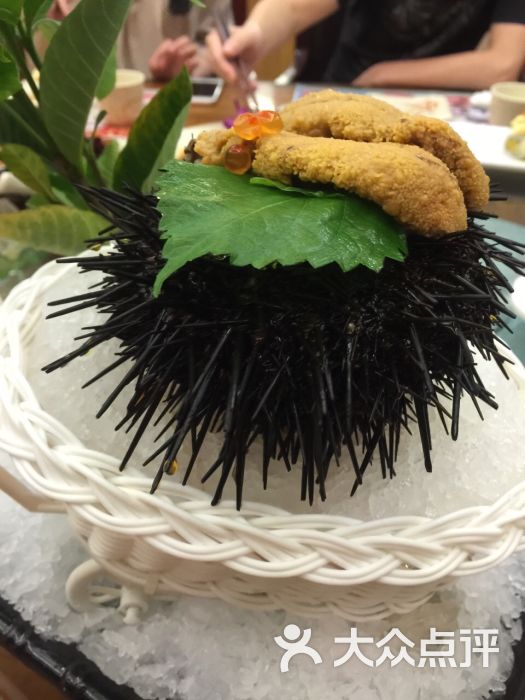 元通回转寿司-图片-东莞美食-大众点评网