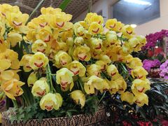 -双季花艺园艺市场(浦东店)