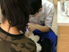 -芭比堂动物医院·24小时·眼科中心(深圳中心)