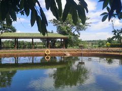 -侯臣咖啡文化村