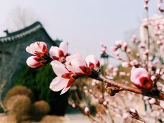 -迎泽公园