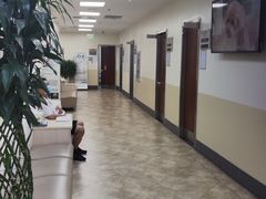 -美联众合动物医院·24h转诊中心