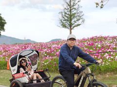 -南北湖风景区