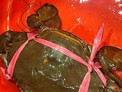 -瑞福园联谊餐室(茂名南路店)